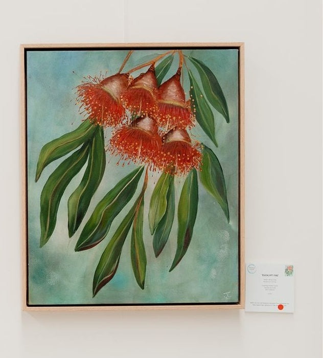 Eucalypt Fire