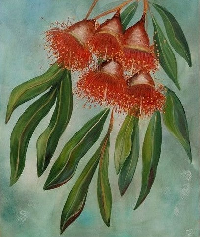 Eucalypt Fire