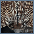 Spike